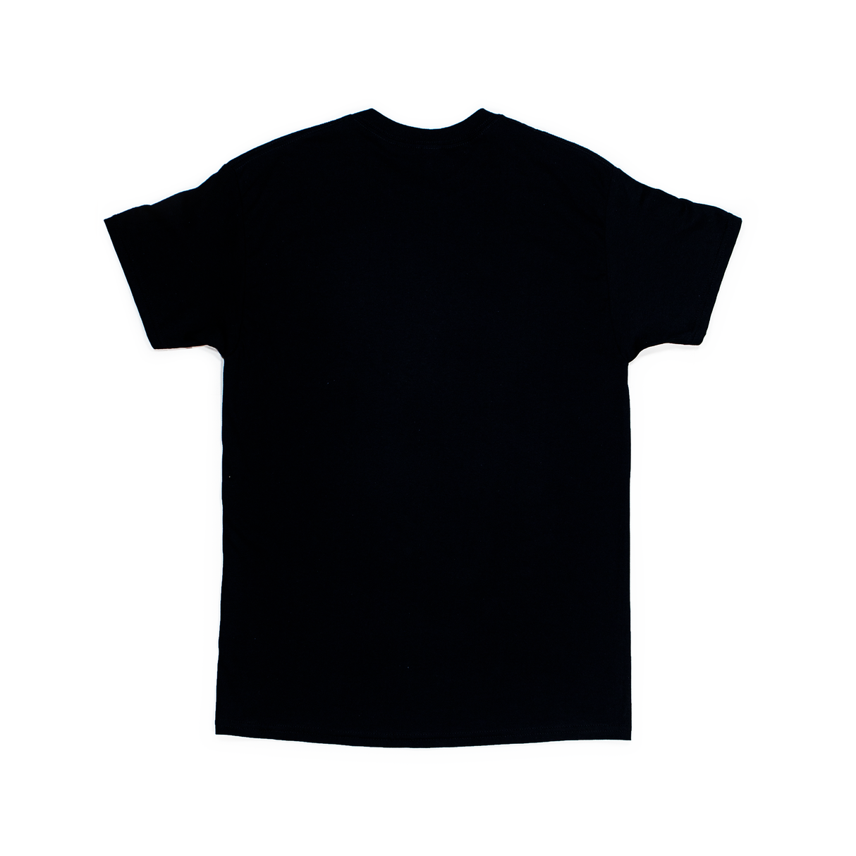 Graphic T Shirt - Not Your Grandma's Wigs- Black by The Hair Diagram